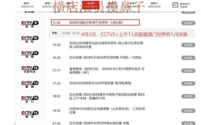 世界杯直播背景下的世界杯买球平台解析与速度测试